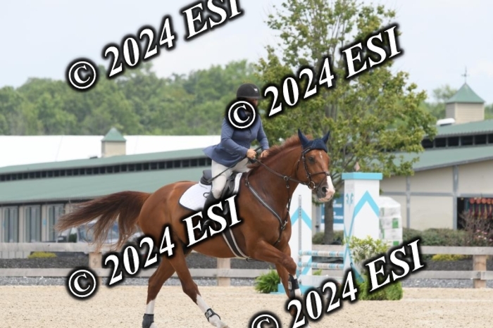 204DK1_1055
