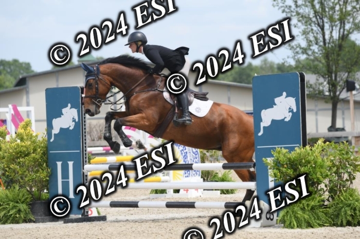 204DK1_1072