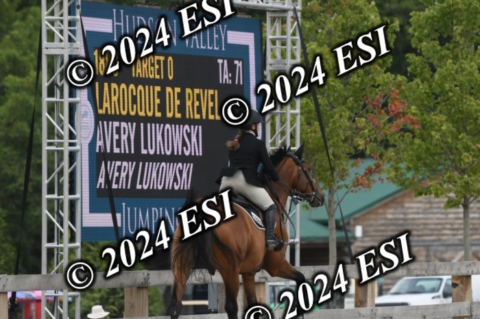 204DK1_1075