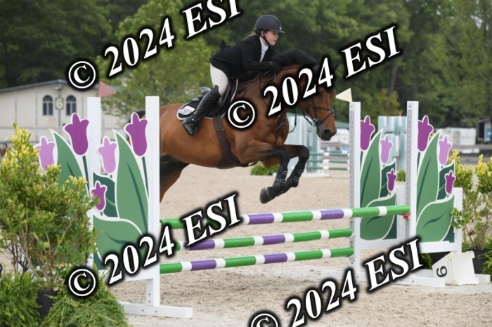204DK1_1079
