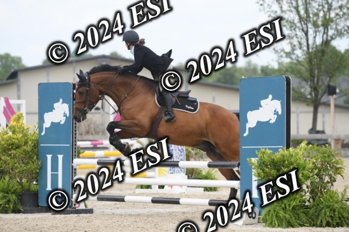 204DK1_1083