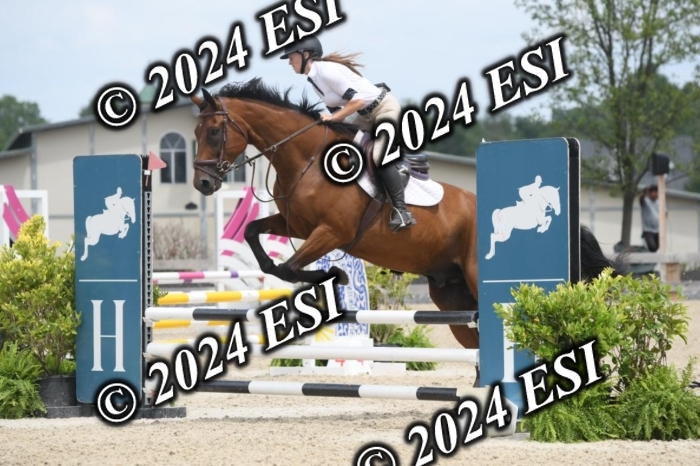 204DK1_1089