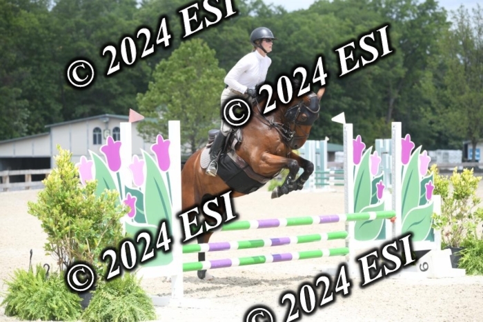 204DK1_1099