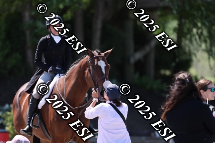 888631DI4_8593