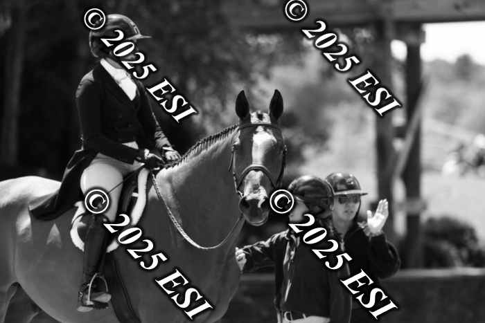888631DI4_8967