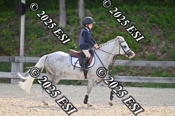 508CMS_0632