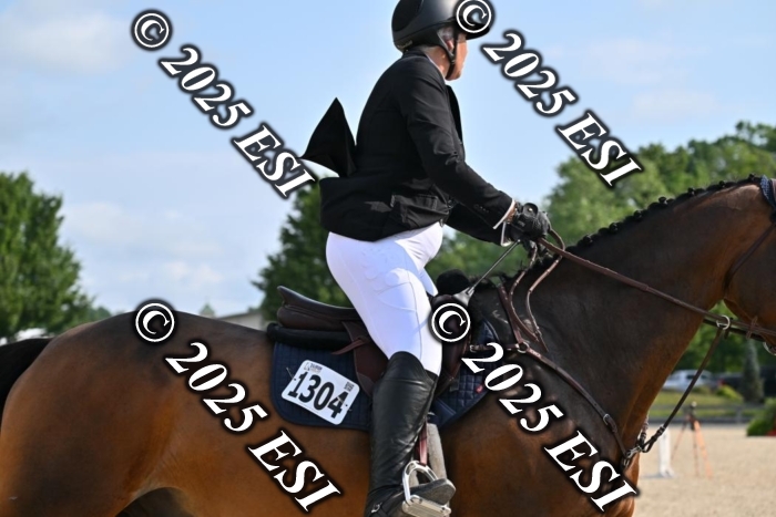 508CMS_0634