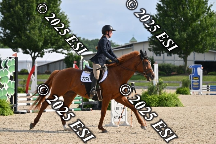 508CMS_0643
