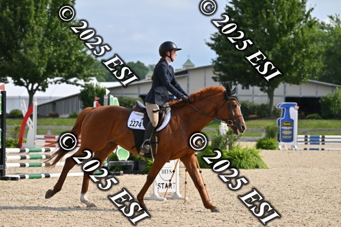 508CMS_0644