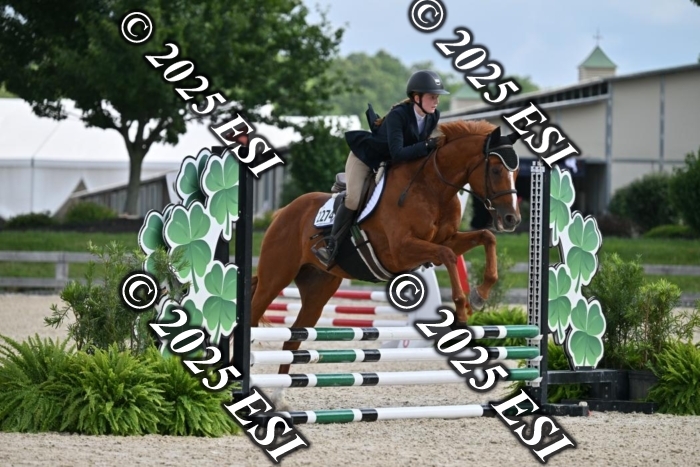 508CMS_0653