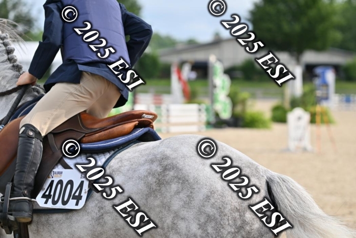 508CMS_0663