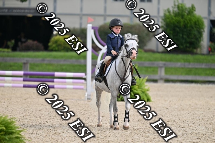 508CMS_0665