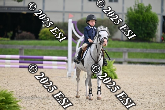 508CMS_0666