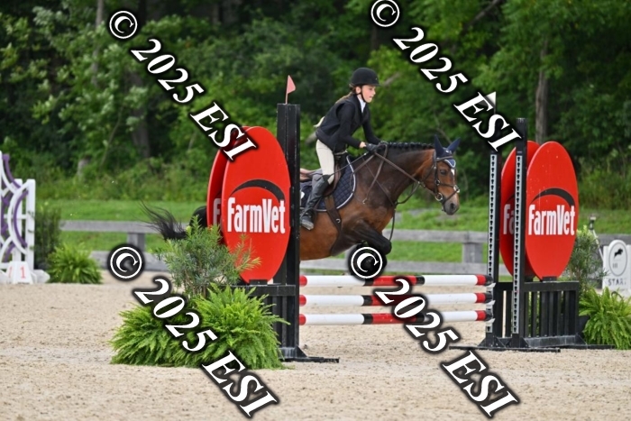 508CMS_0685