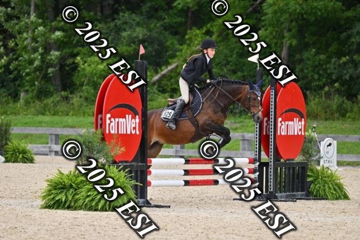 508CMS_0686