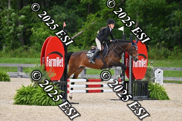 508CMS_0687