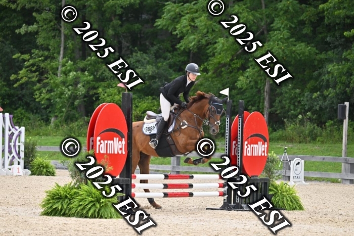 508CMS_0741