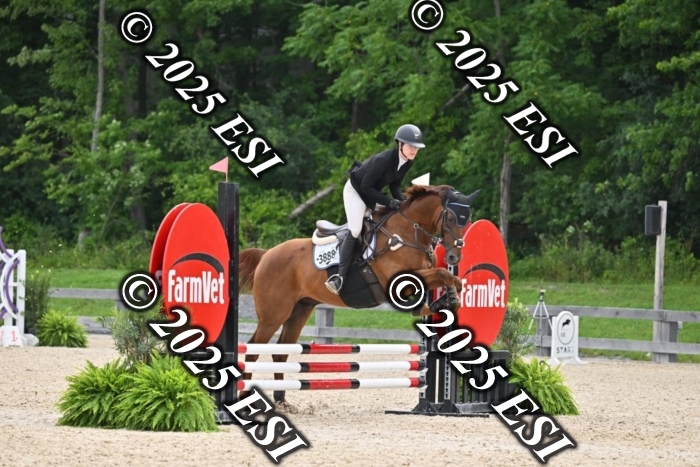 508CMS_0742
