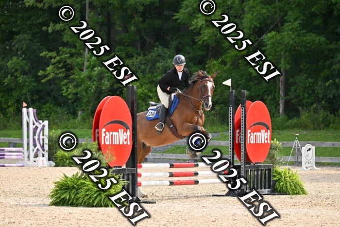 508CMS_0753