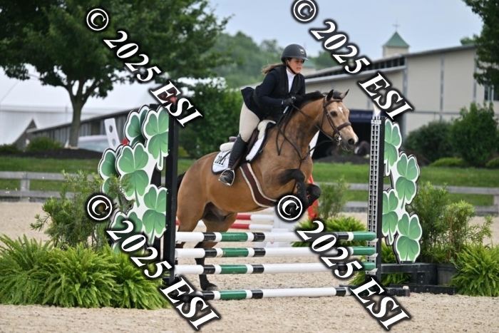 508CMS_0775