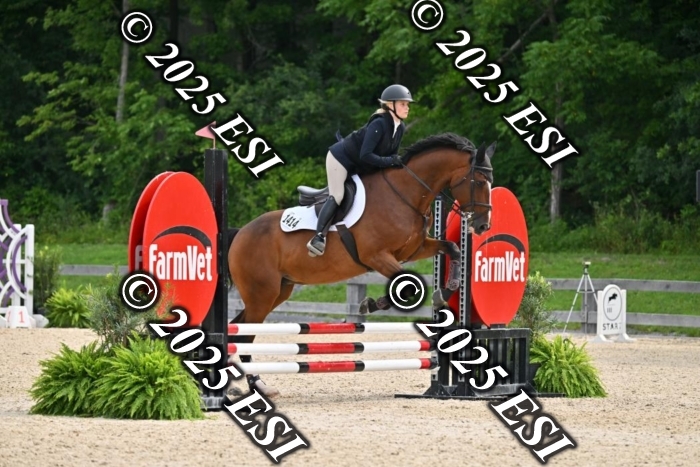508CMS_0781