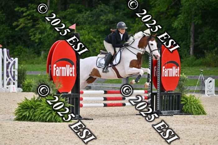 508CMS_0798