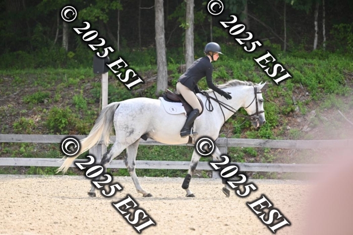 508CMS_0854
