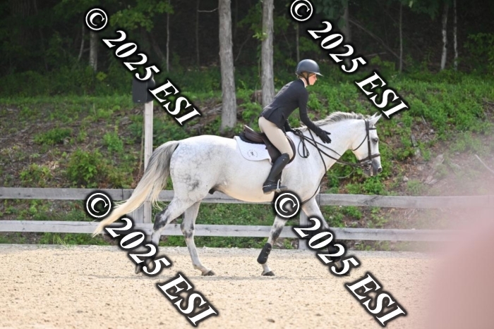 508CMS_0855