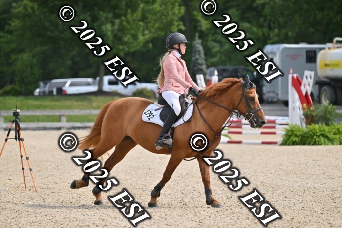 508CMS_0862