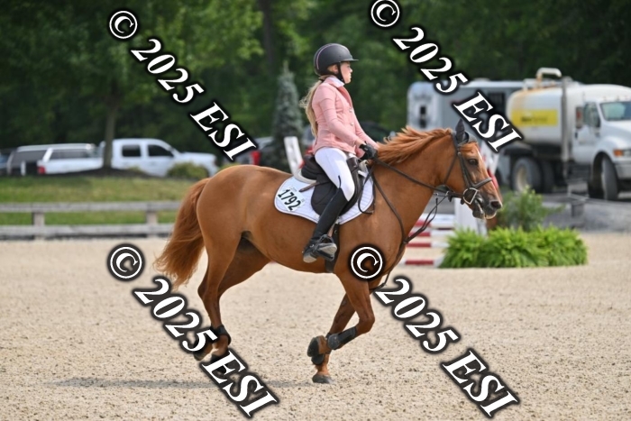 508CMS_0864