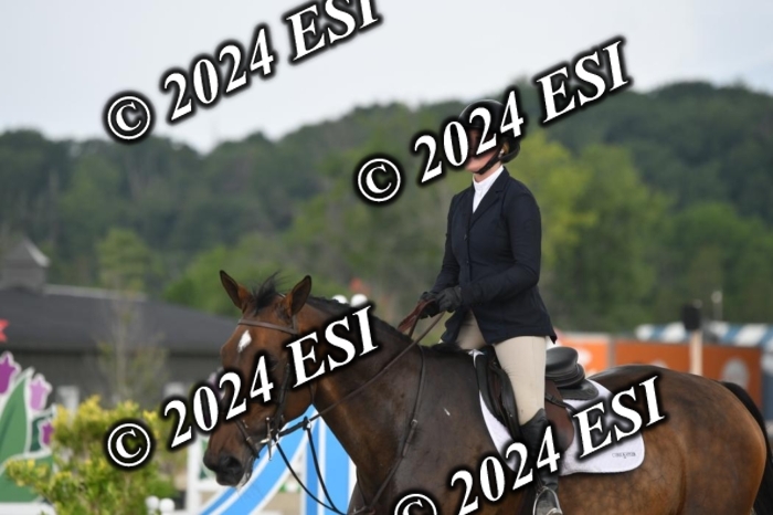 208DK1_1317