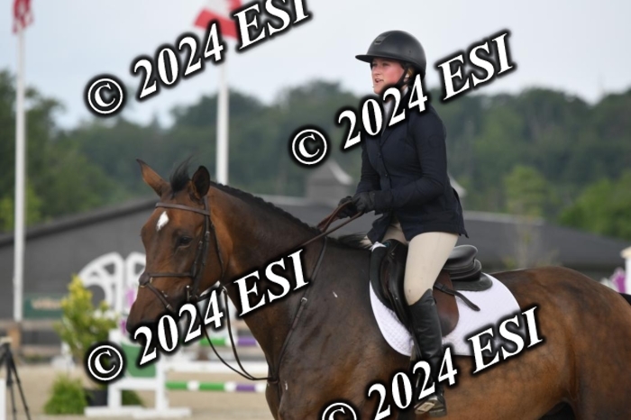 208DK1_1318