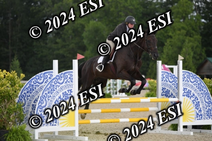 208DK1_1321