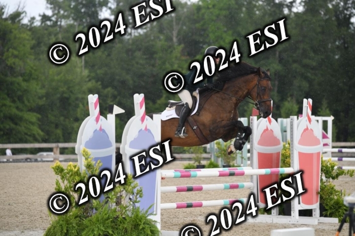 208DK1_1324