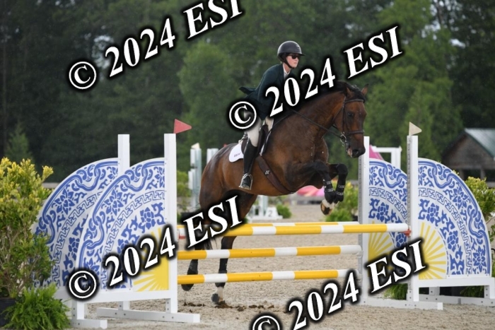 208DK1_1325