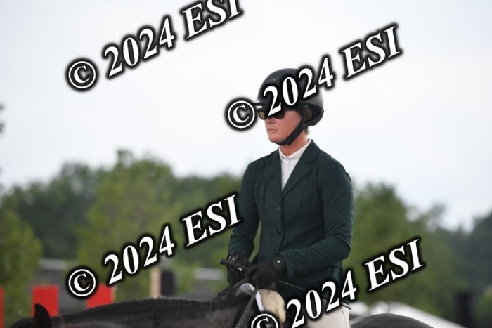 208DK1_1329