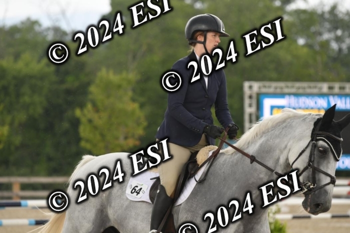 208DK1_1331