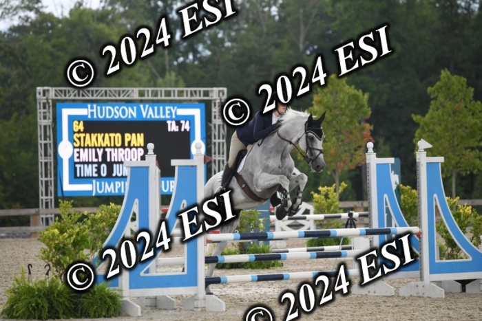 208DK1_1334