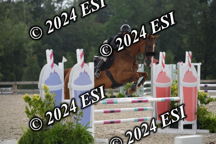 208DK1_1338