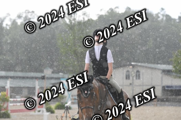208DK1_1346