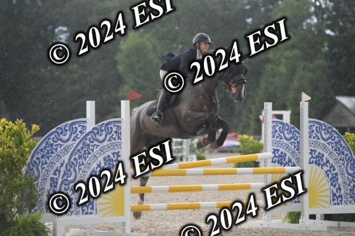 208DK1_1353
