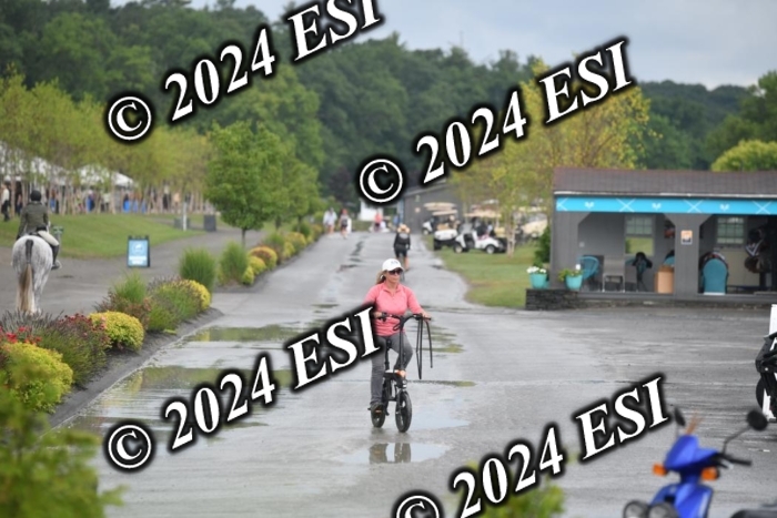 208DK1_1361