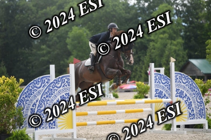 208DK1_1365