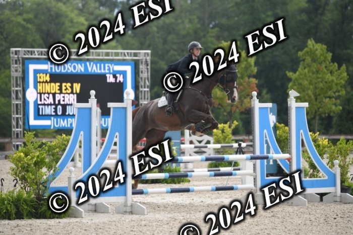 208DK1_1366