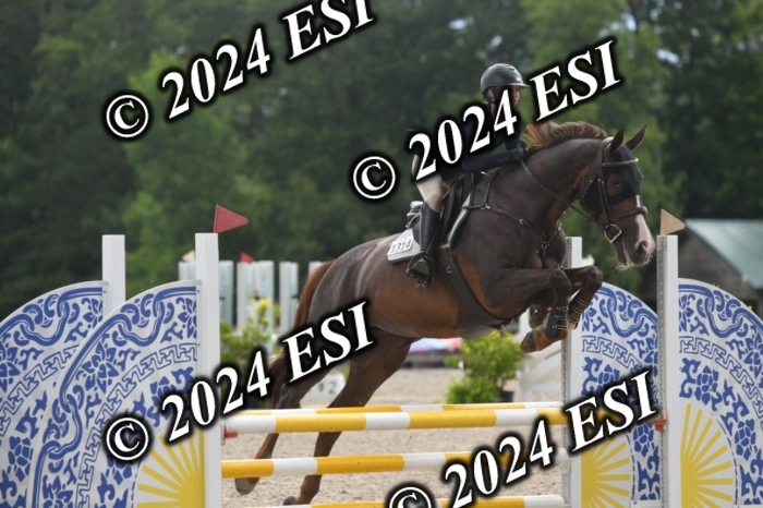 208DK1_1368