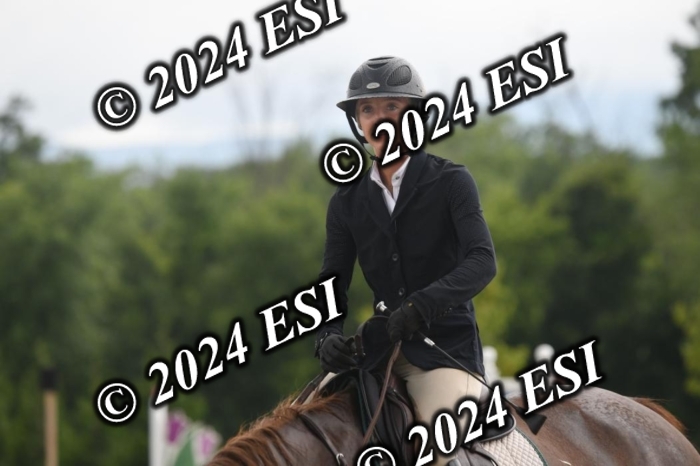 208DK1_1371