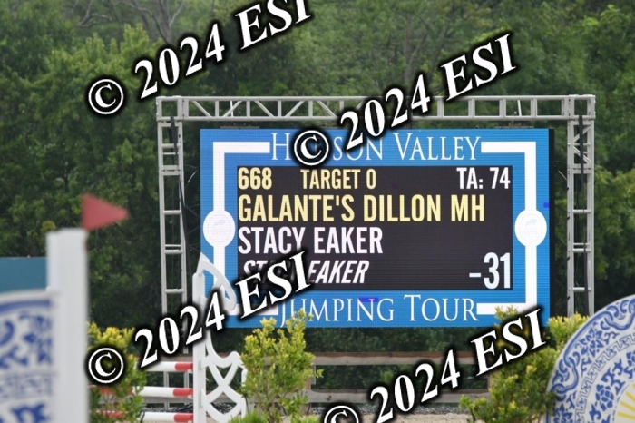 208DK1_1374