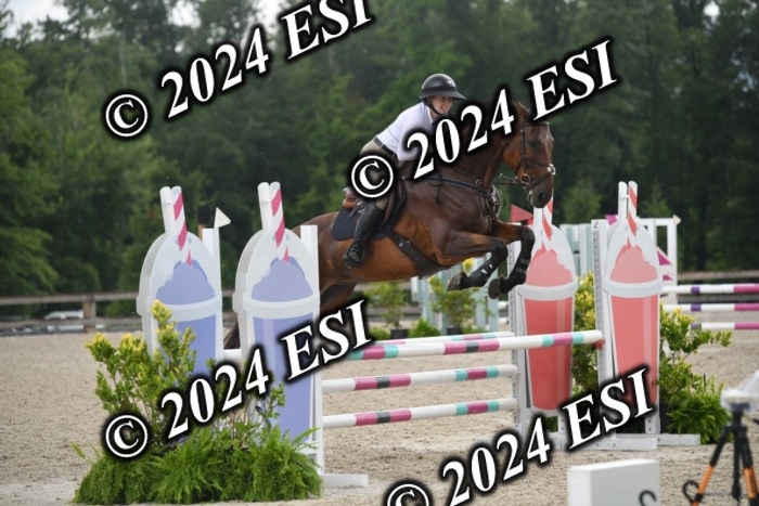 208DK1_1376