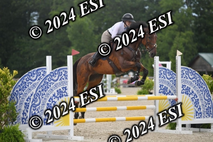 208DK1_1377