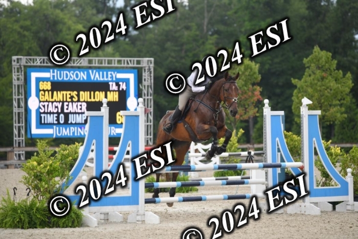 208DK1_1378